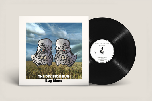 THE DIVISION BUG - vinyl